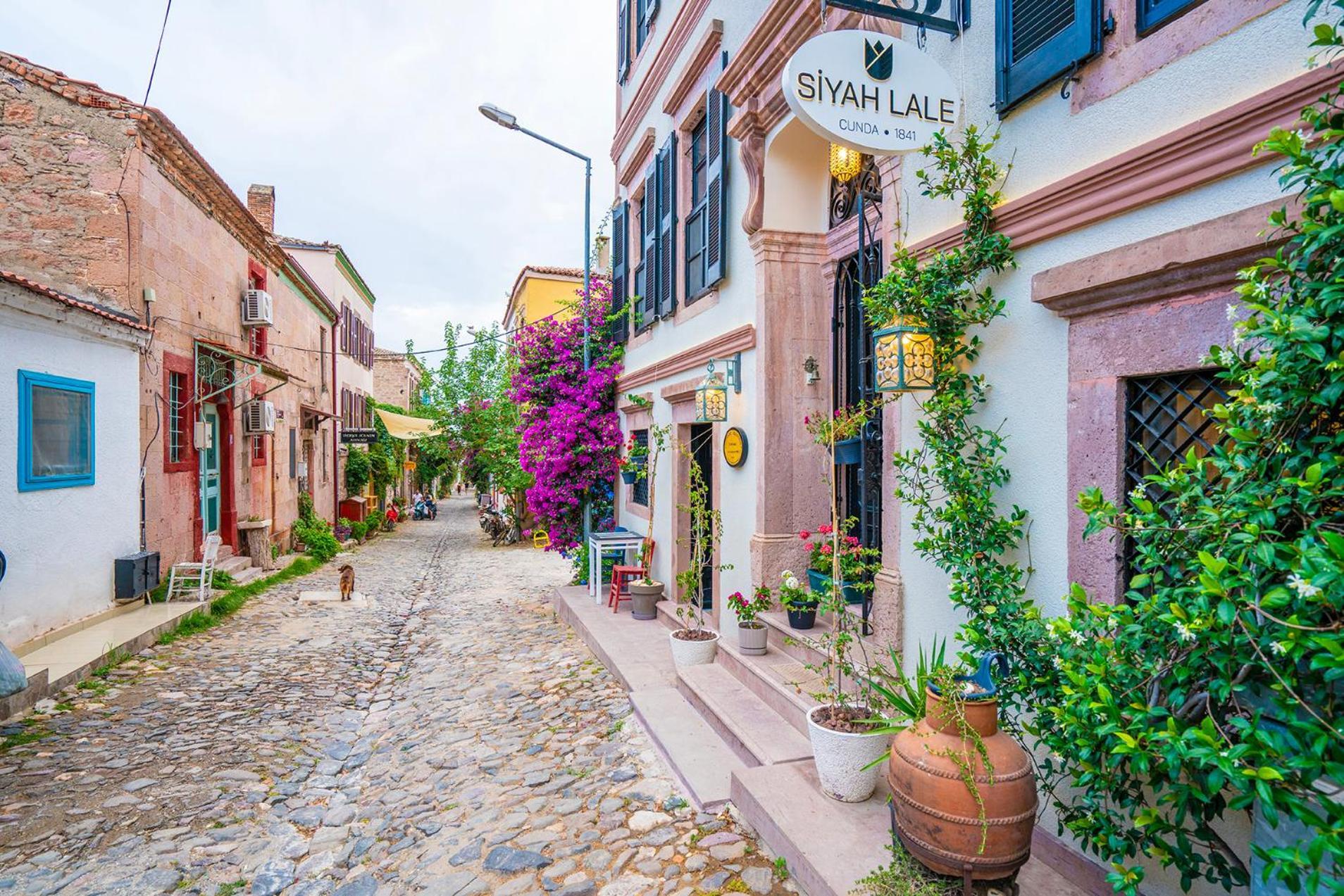 Siyah Lale Cunda 1841 (Adults Only) Hotel Ayvalik Luaran gambar