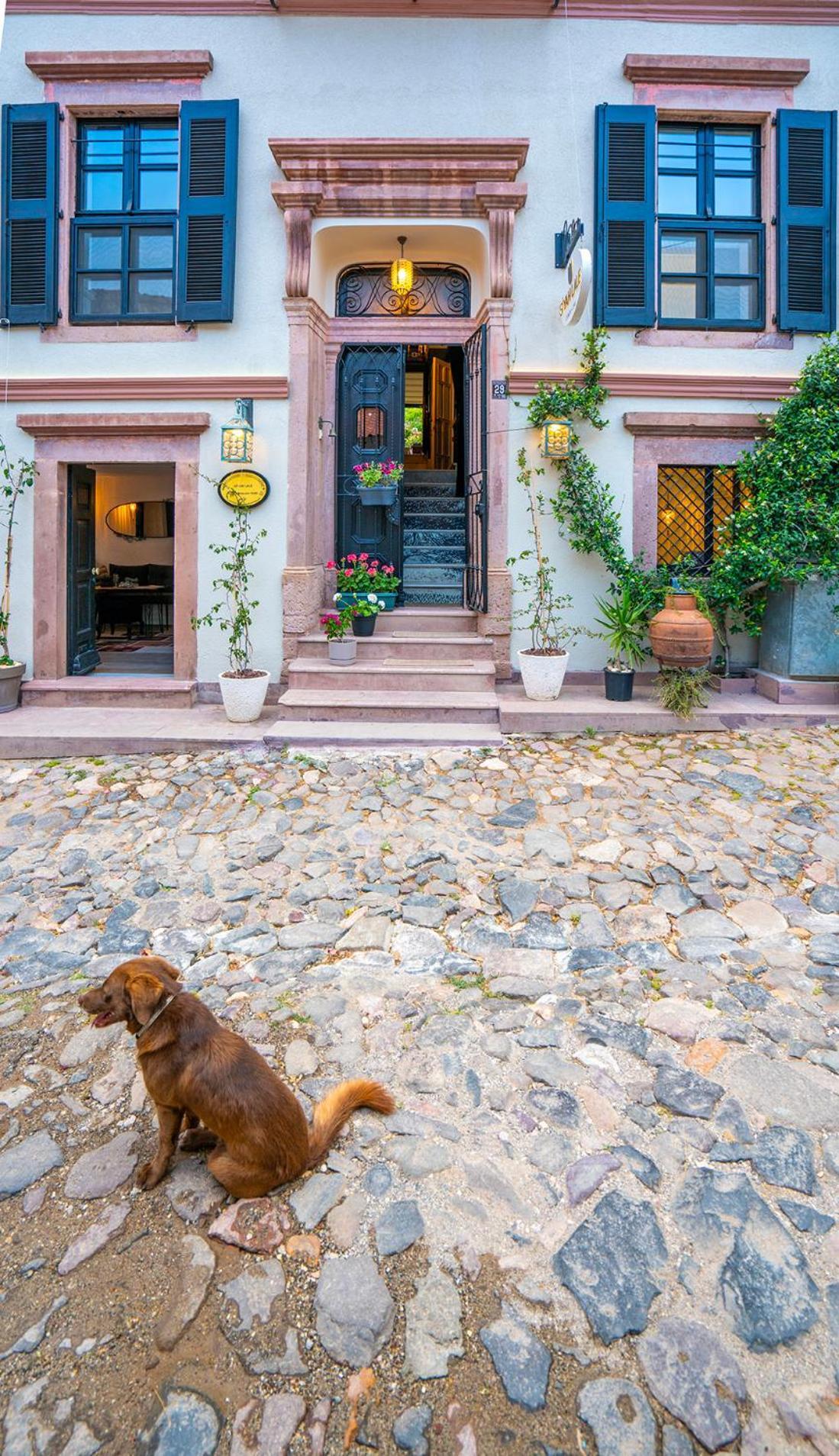 Siyah Lale Cunda 1841 (Adults Only) Hotel Ayvalik Luaran gambar